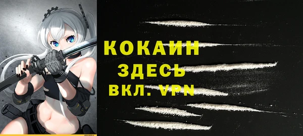прущие крисы Вяземский