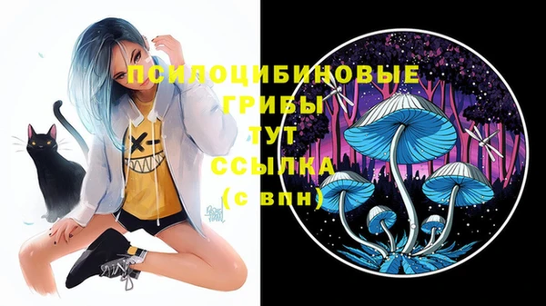 прущие крисы Вяземский