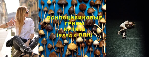 прущие крисы Вяземский