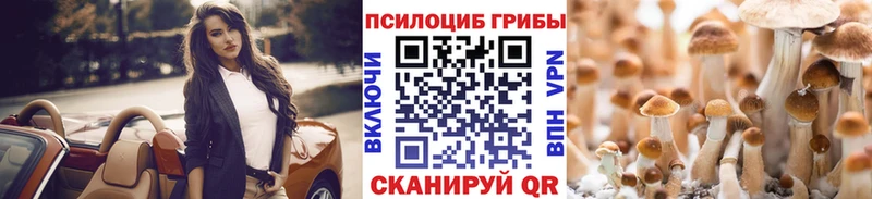 гидра ССЫЛКА  Далматово  Псилоцибиновые грибы GOLDEN TEACHER 