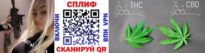 Каннабис SATIVA & INDICA сколько стоит MEGA ССЫЛКА Далматово